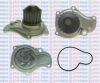AQUAPLUS 85-8450 Water Pump